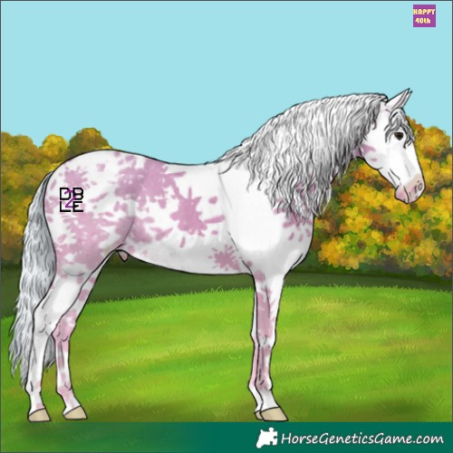 Horse Color:Watercolor White Spotted Silver Black Tobiano Appaloosa 