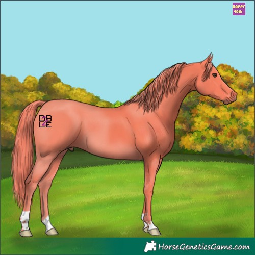 Horse Color:Watercolor Liver Chestnut 