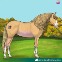 Horse Color:Watercolor Chestnut