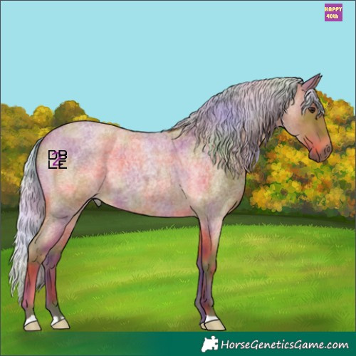 Horse Color:Nacre Silver Bay Roan 