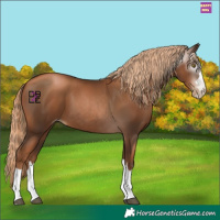 Horse Color:Gray Liver Chestnut Pearl 