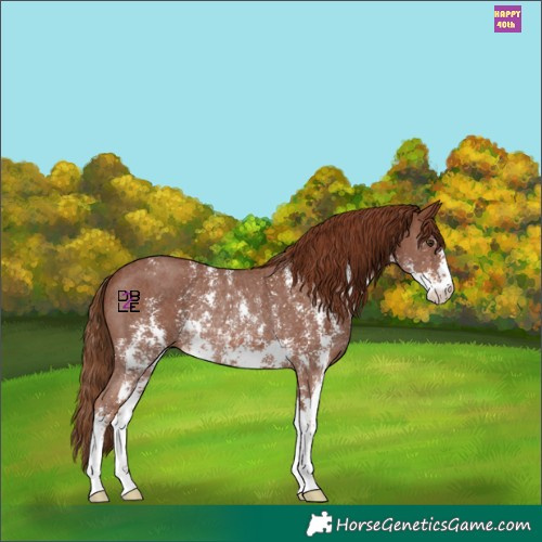 Horse Color:Chestnut Sabino Rabicano