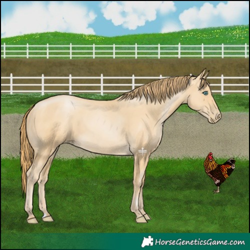 Horse Color:Smoky Black Pearl