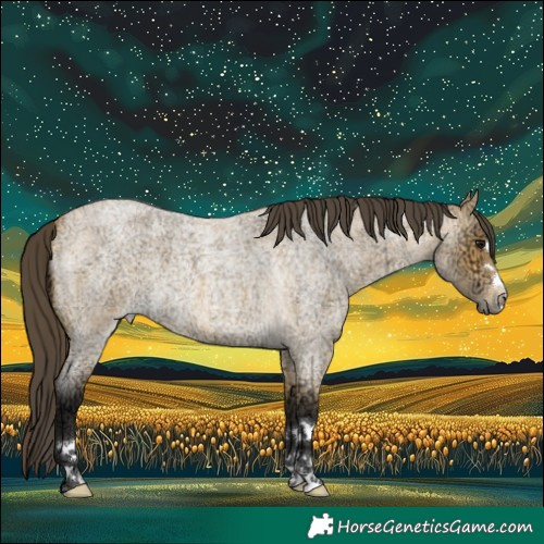 Horse Color:Buckskin Ice Roan 