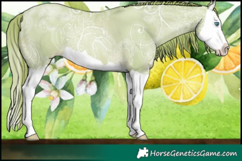 Horse Color:Watercolor Smoky Black Ice Pearl Splash 