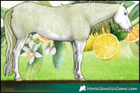 Horse Color:Watercolor Smoky Black Ice Pearl Splash 