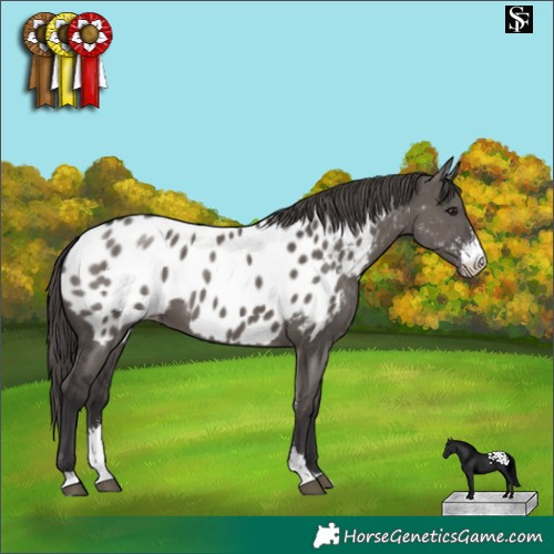 Horse Color:Smoky Grullo Sabino Near Leopard