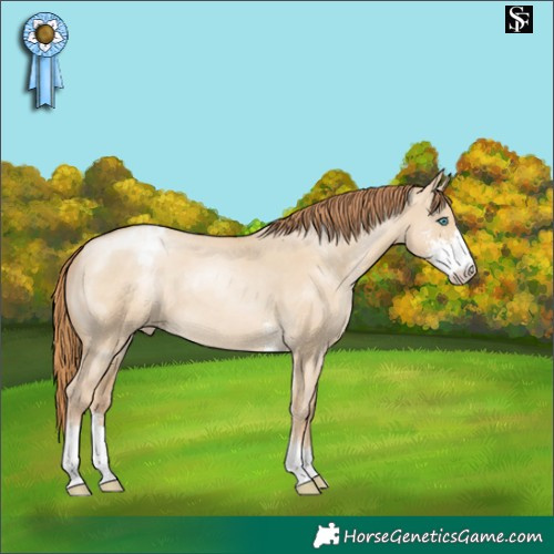 Horse Color:Smoky Grullo Pearl Sabino Appaloosa