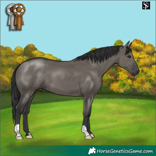 Horse Color:Grullo