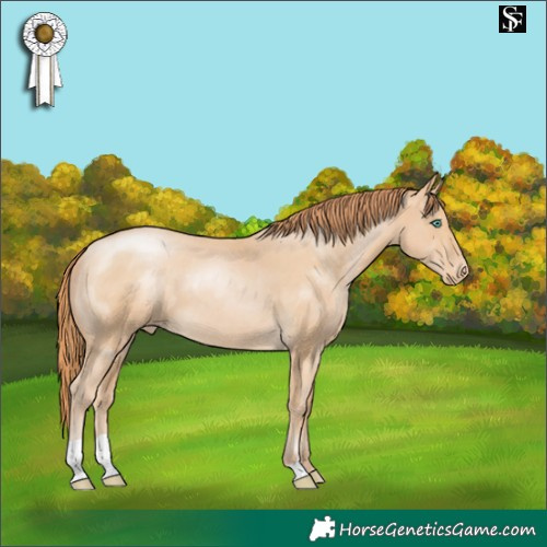Horse Color:Smoky Black Pearl Varnish