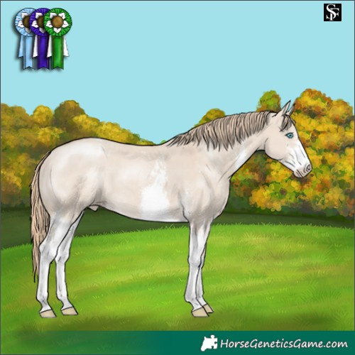 Horse Color:Smoky Creme Dun Sabino Varnish