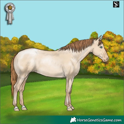 Horse Color:Smoky Grullo Pearl Appaloosa