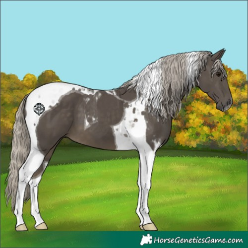 Horse Color:Silver Smoky Black Tobiano 