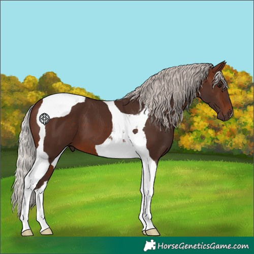 Horse Color:Silver Brown Tobiano