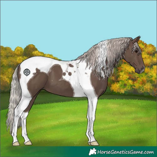 Horse Color:Silver Black Tobiano