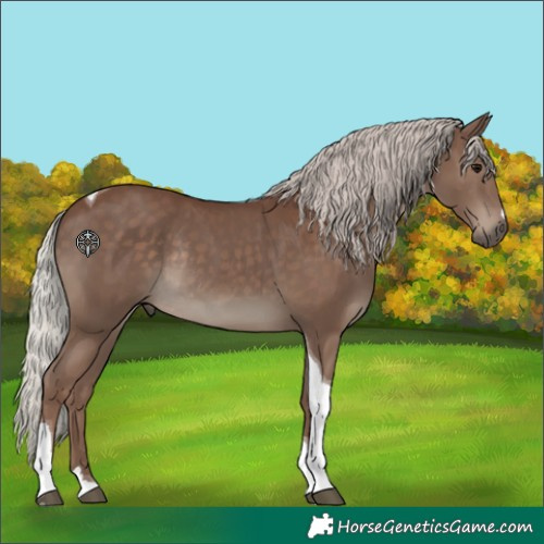 Horse Color:Silver Black Tobiano Rabicano