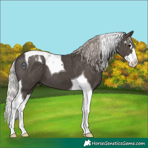 Horse Color:Silver Black Splash Tobiano 