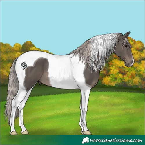 Horse Color:Silver Black Tobiano 