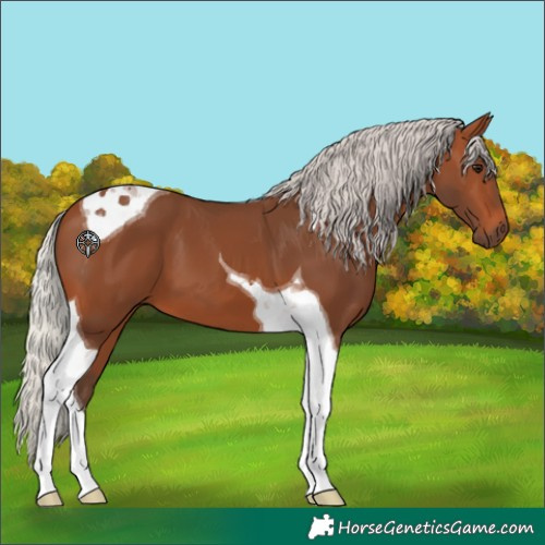 Horse Color:Silver Brown Tobiano