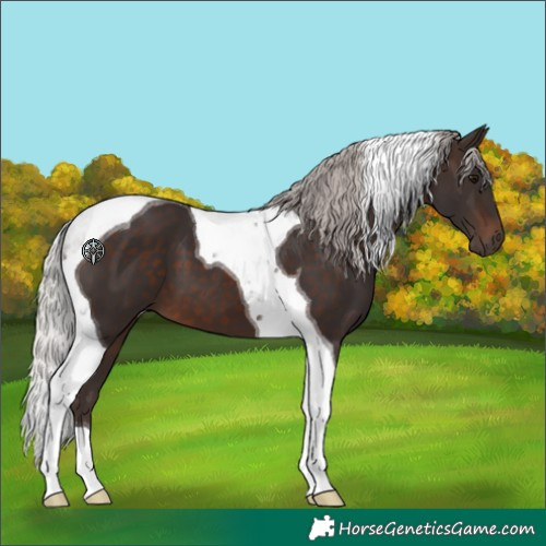 Horse Color:Silver Brown Tobiano