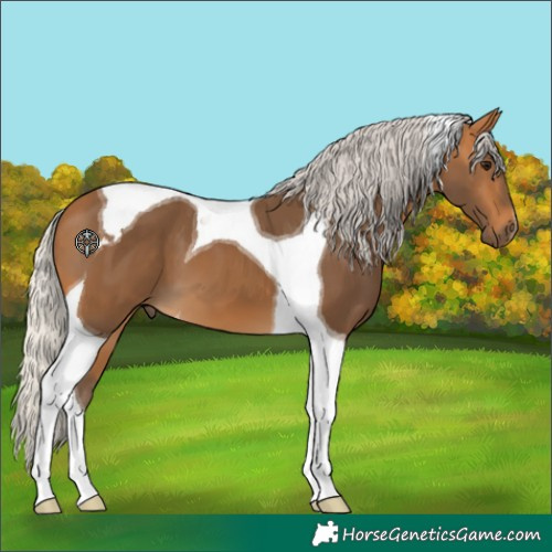 Horse Color:Silver Buckskin Tobiano 