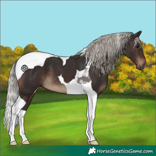 Horse Color:Silver Brown Tobiano