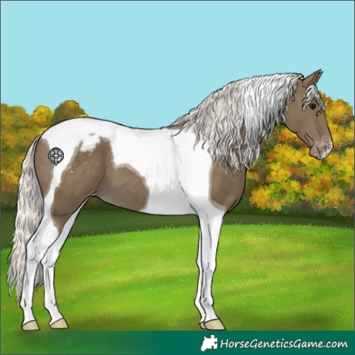 Horse Color:Silver Smoky Black Tobiano Appaloosa 