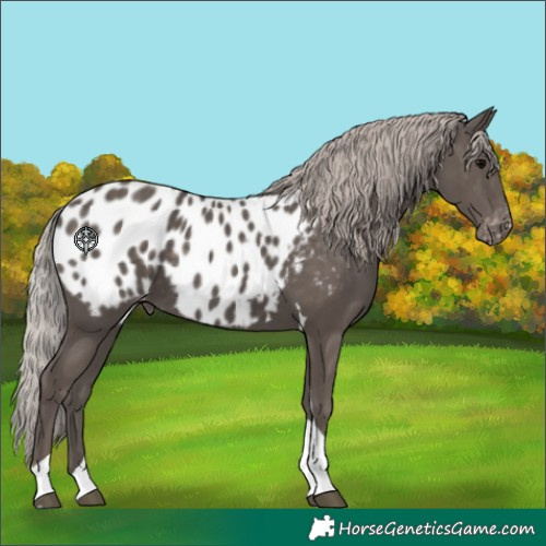 Horse Color:Silver Black Tobiano Blanket 