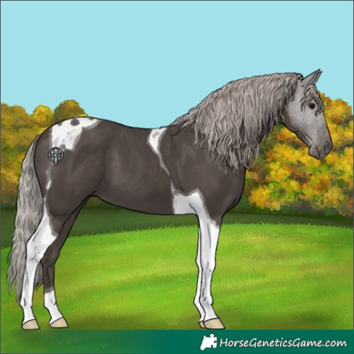Horse Color:Silver Black Tobiano