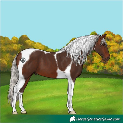 Horse Color:Silver Brown Tobiano