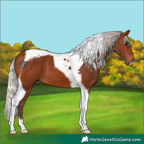 Horse Color:Silver Brown Tobiano