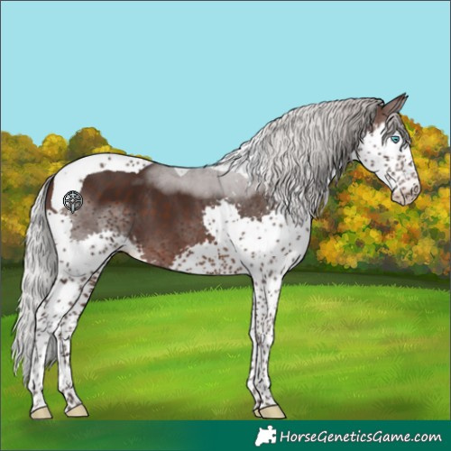 Horse Color:Silver Brown Splash Tobiano