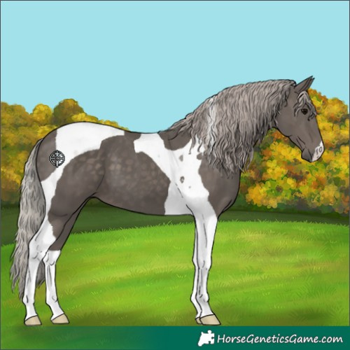 Horse Color:Silver Black Tobiano