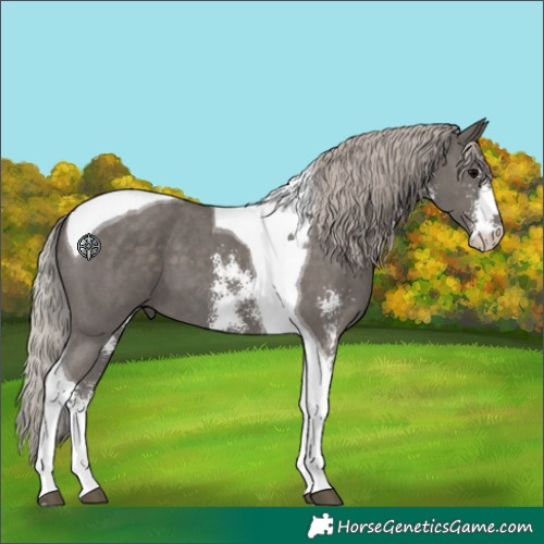 Horse Color:Silver Black Sabino Tobiano 