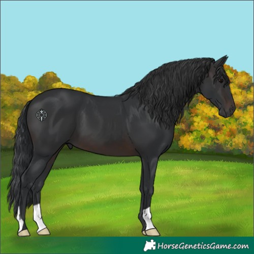 Horse Color:Brown 