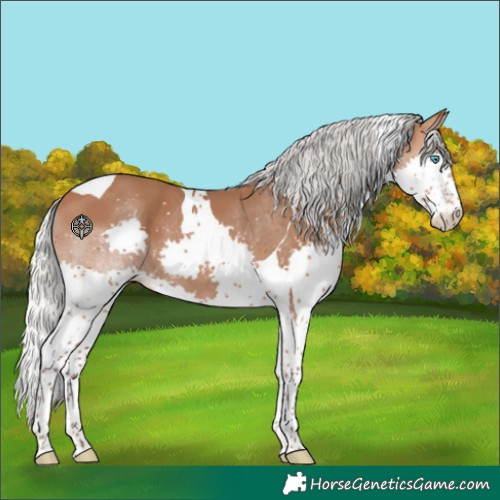 Horse Color:Silver Bay Splash Tobiano