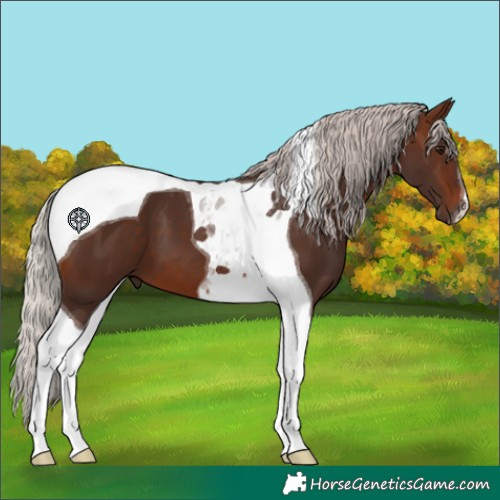 Horse Color:Silver Brown Tobiano