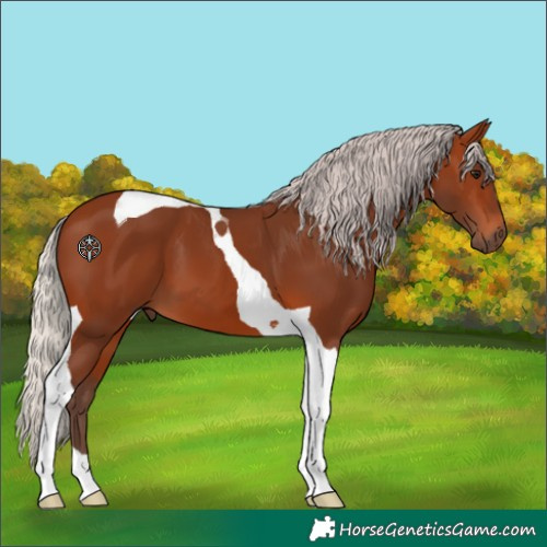 Horse Color:Silver Brown Tobiano
