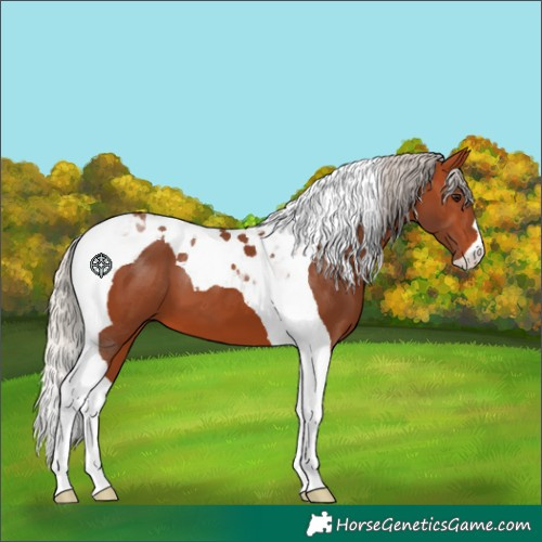 Horse Color:Silver Bay Tobiano 