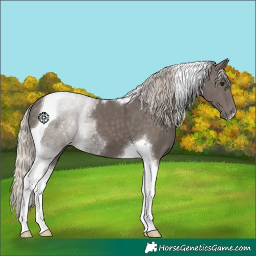 Horse Color:Silver Smoky Black Tobiano