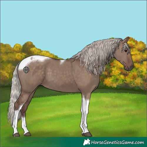 Horse Color:Silver Grullo Tobiano