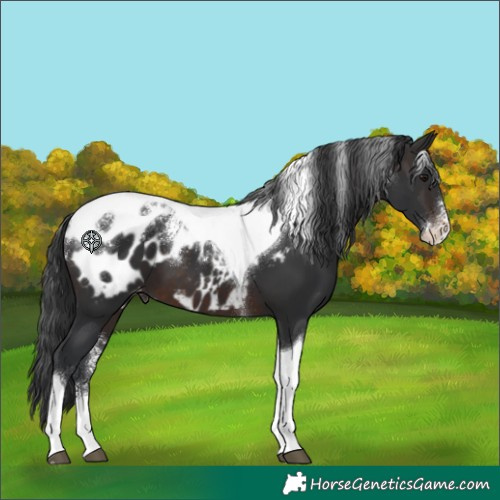Horse Color:Powder White Brown Tobiano Blanket 