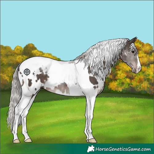 Horse Color:White Spotted Silver Black Tobiano 