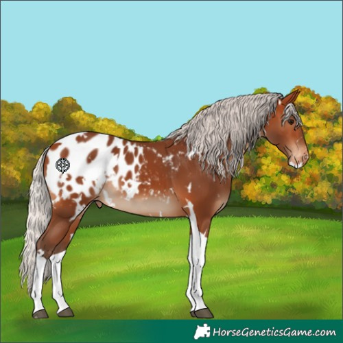 Horse Color:White Spotted Silver Bay Tobiano Blanket
