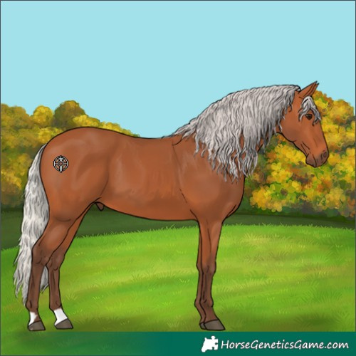 Horse Color:Silver Bay 
