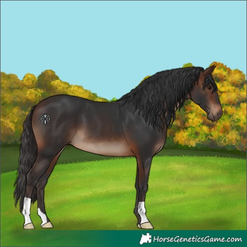 Horse Color:Brown 