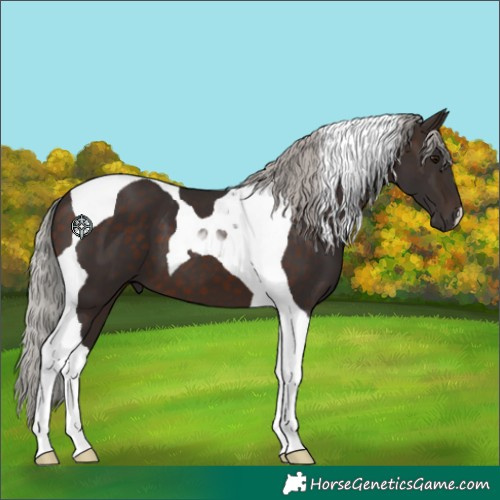 Horse Color:Silver Brown Tobiano 