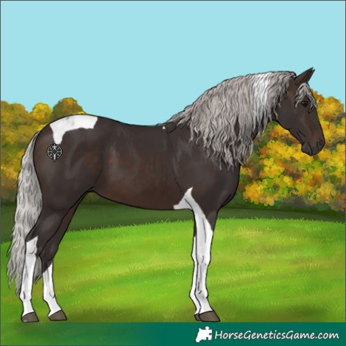 Horse Color:Silver Brown Tobiano 