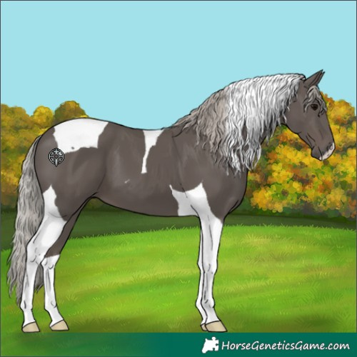 Horse Color:Silver Black Tobiano