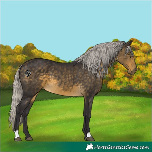 Horse Color:Silver Buckskin